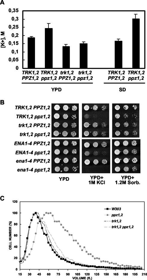 FIG. 1.