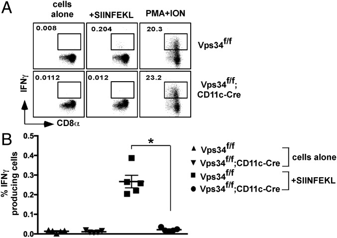 Fig. 8.