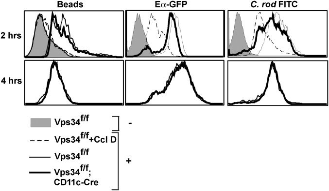 Fig. S5.