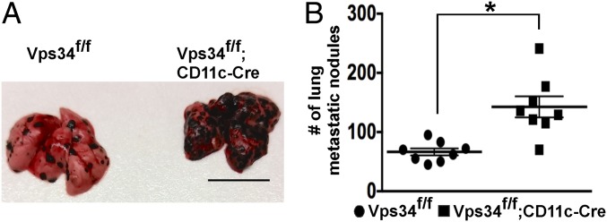 Fig. 9.