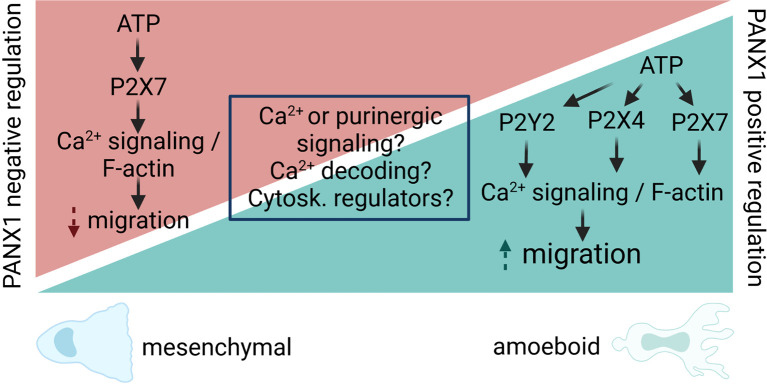 Figure 3