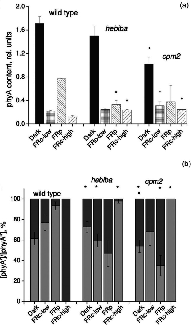 Phytochrome A in plants comprises two structurally and functionally ...