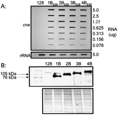 FIG. 3