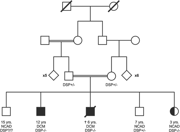 Fig. 1