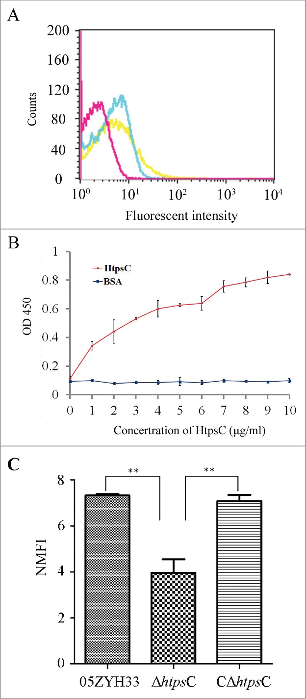 Figure 3.