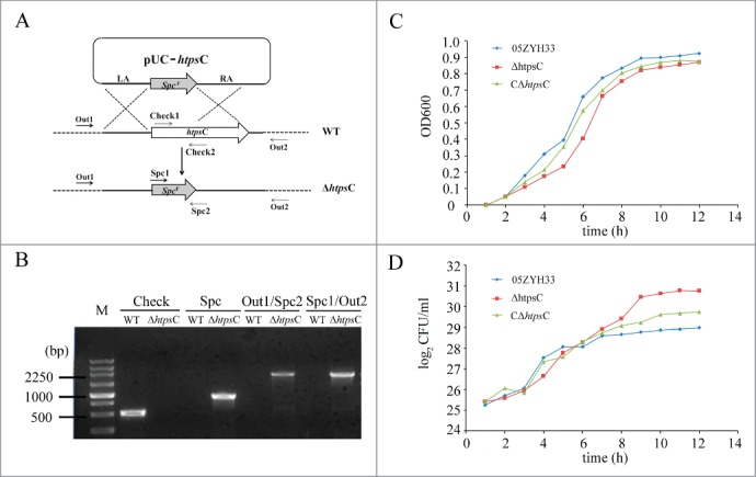 Figure 2.