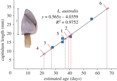 Figure 2.