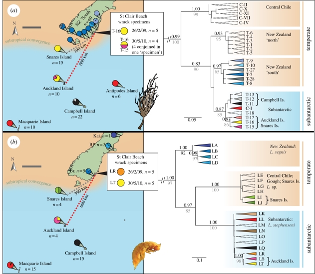 Figure 3.