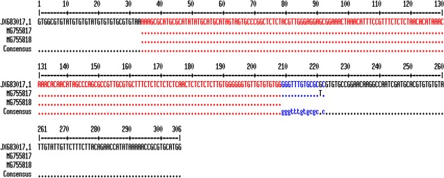 Fig. 4: