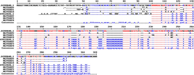 Fig. 3: