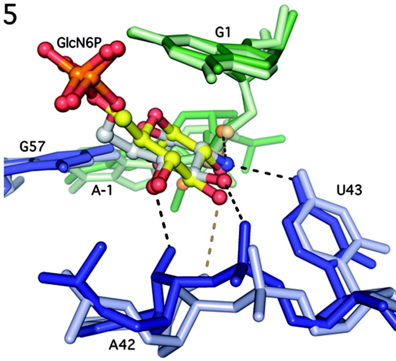 Figure 5