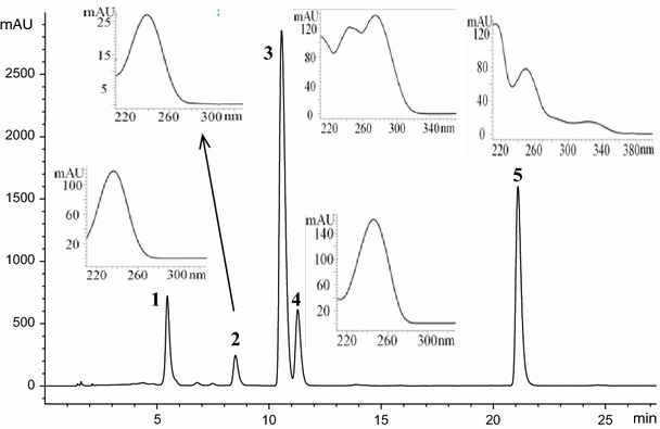 Fig. 2