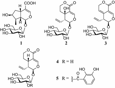 Fig. 1