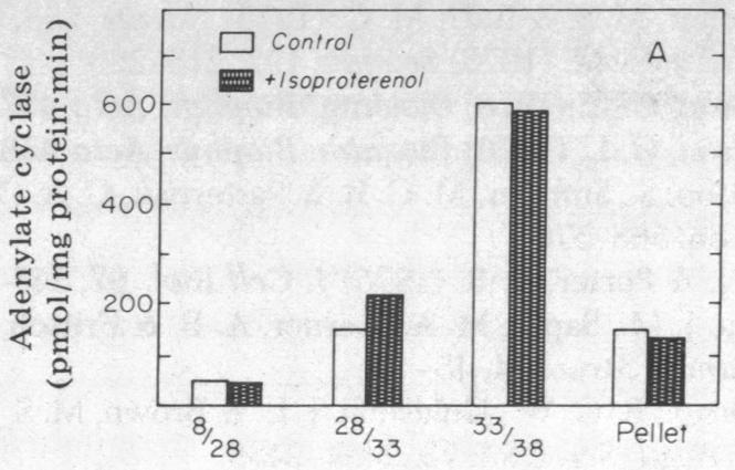 graphic file with name pnas00029-0275-a.jpg