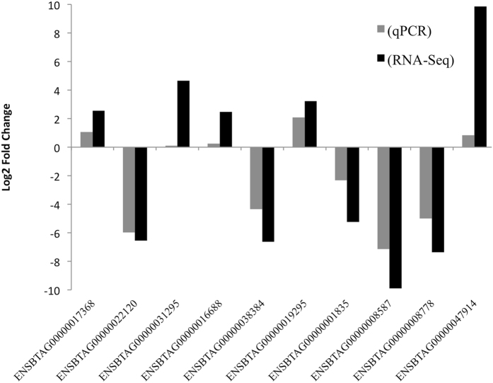 Figure 10