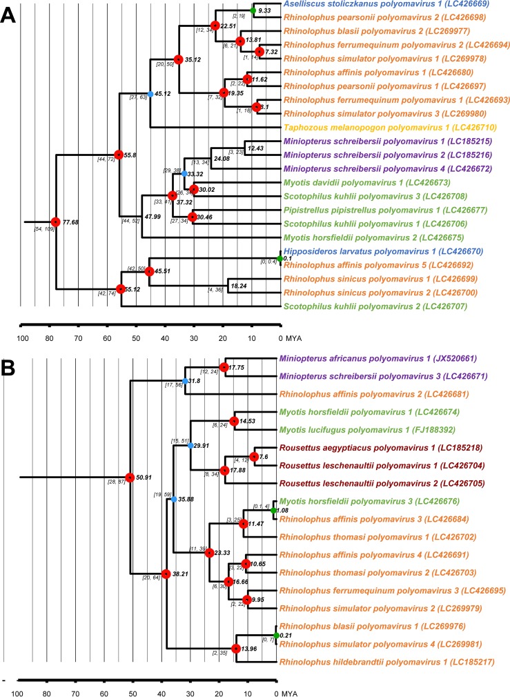 FIG 6