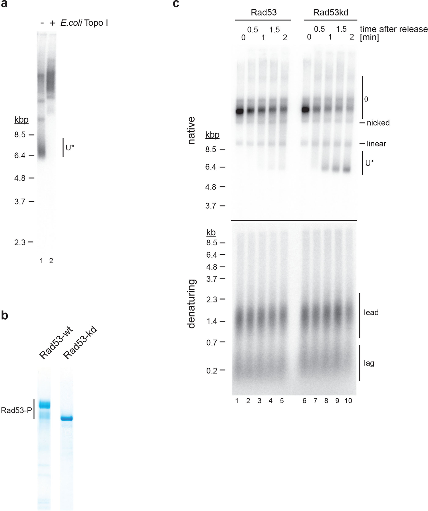 Extended Data Fig. 8