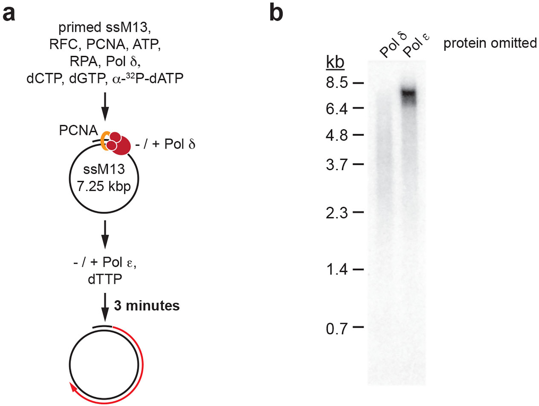 Extended Data Fig. 6