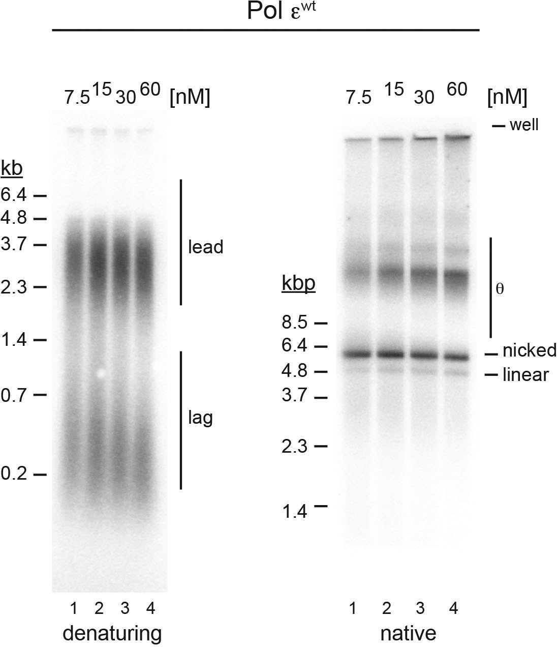 Extended Data Fig. 5