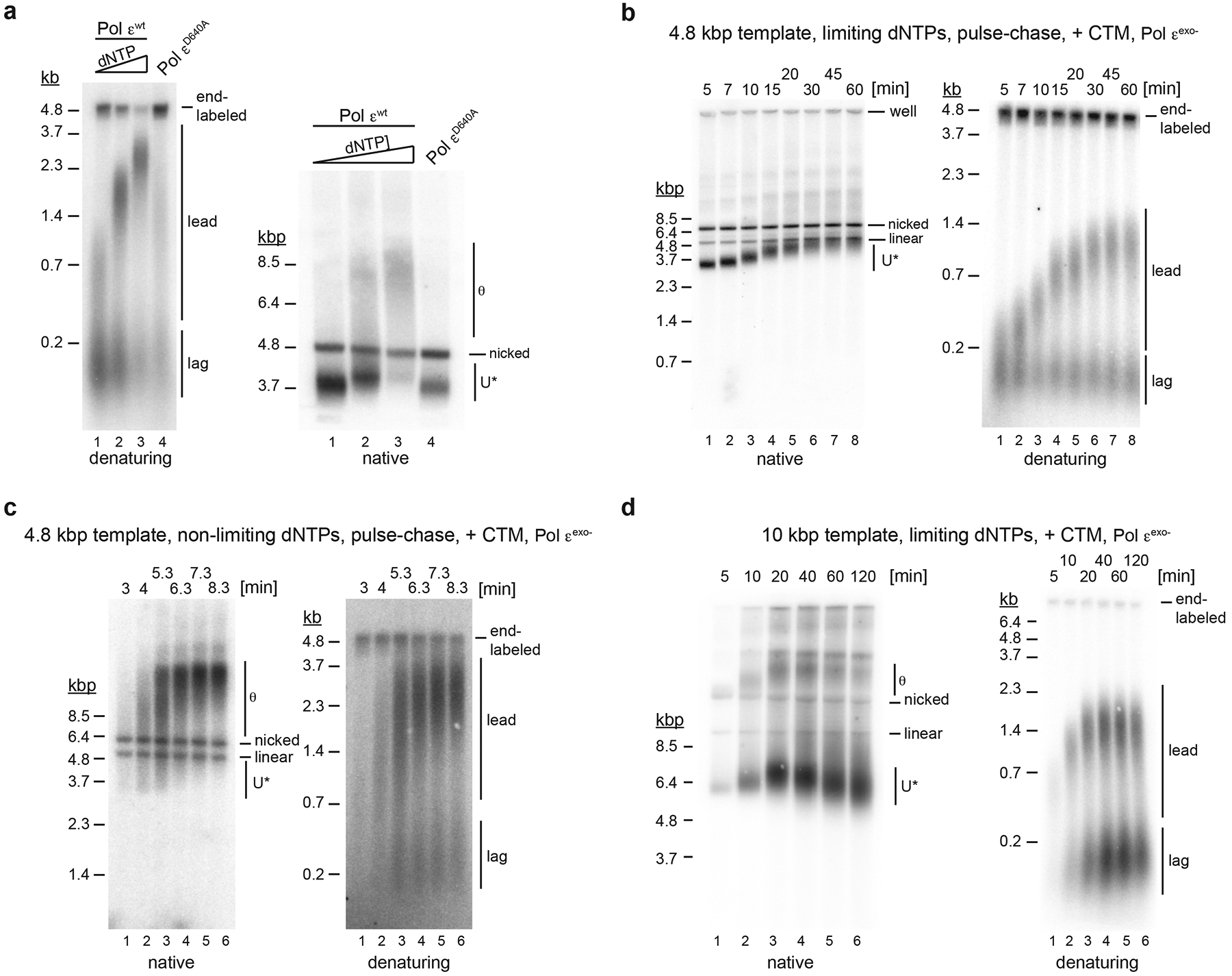 Figure 5: