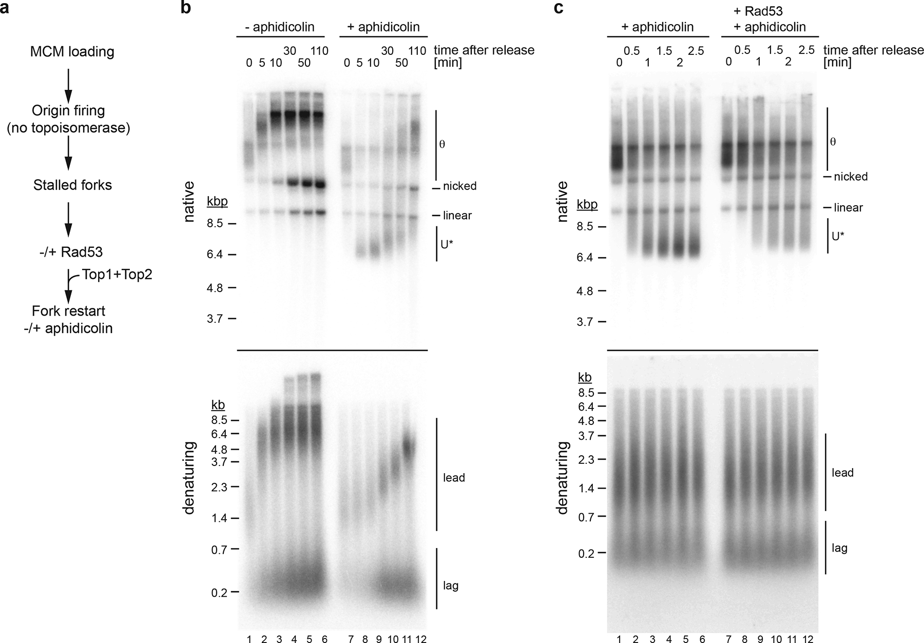 Figure 6: