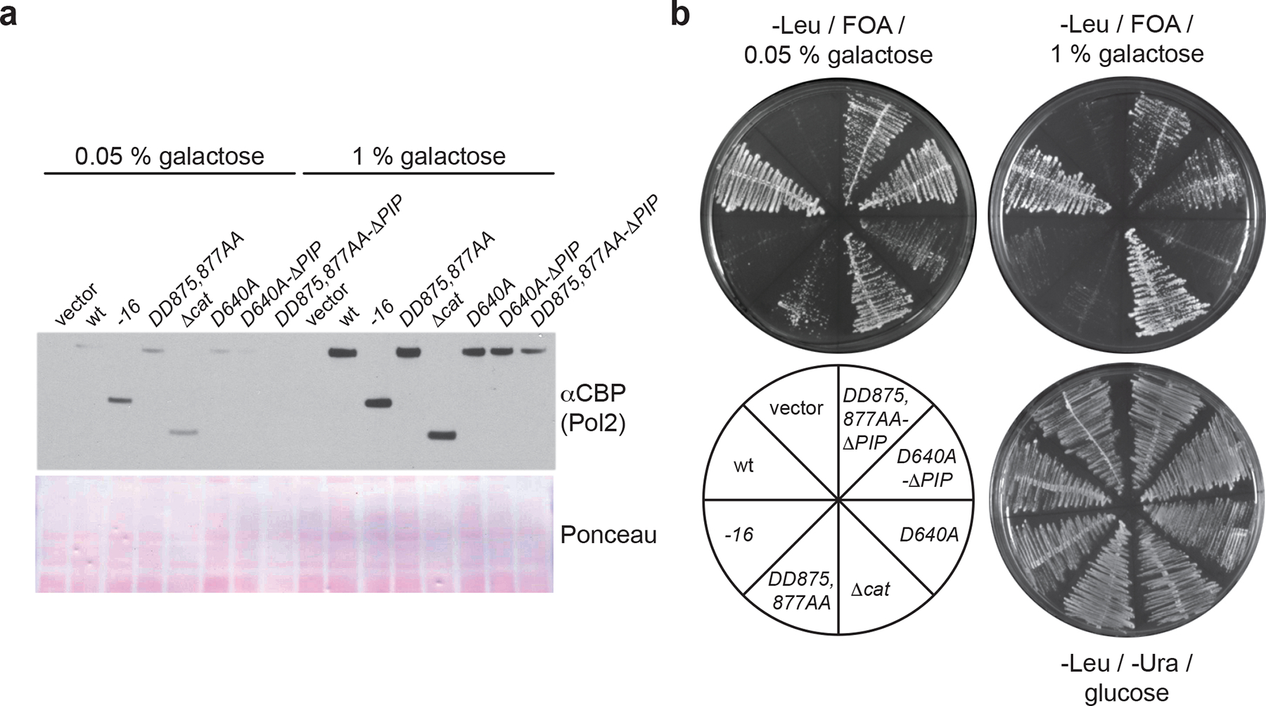 Figure 4: