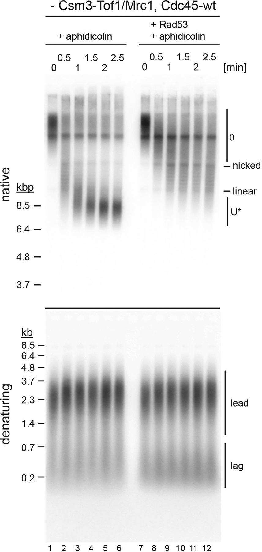 Extended Data Fig. 9