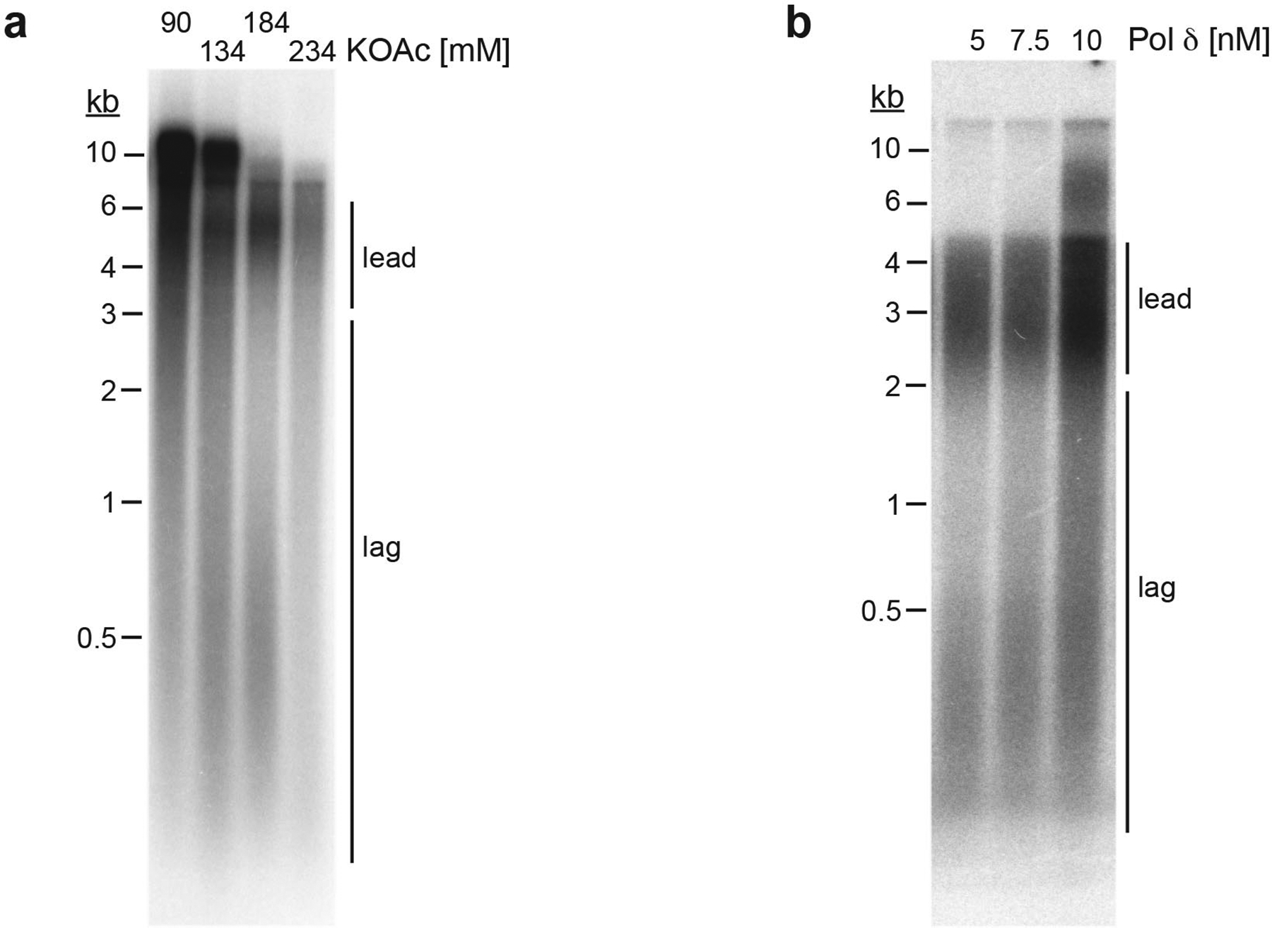 Extended Data Fig. 1