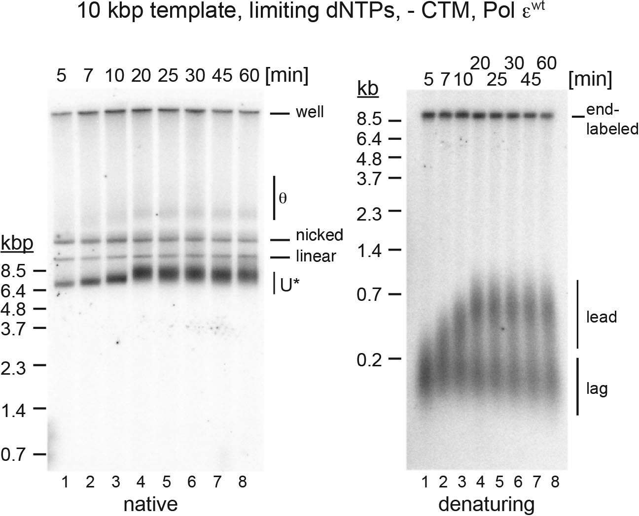 Extended Data Fig. 7