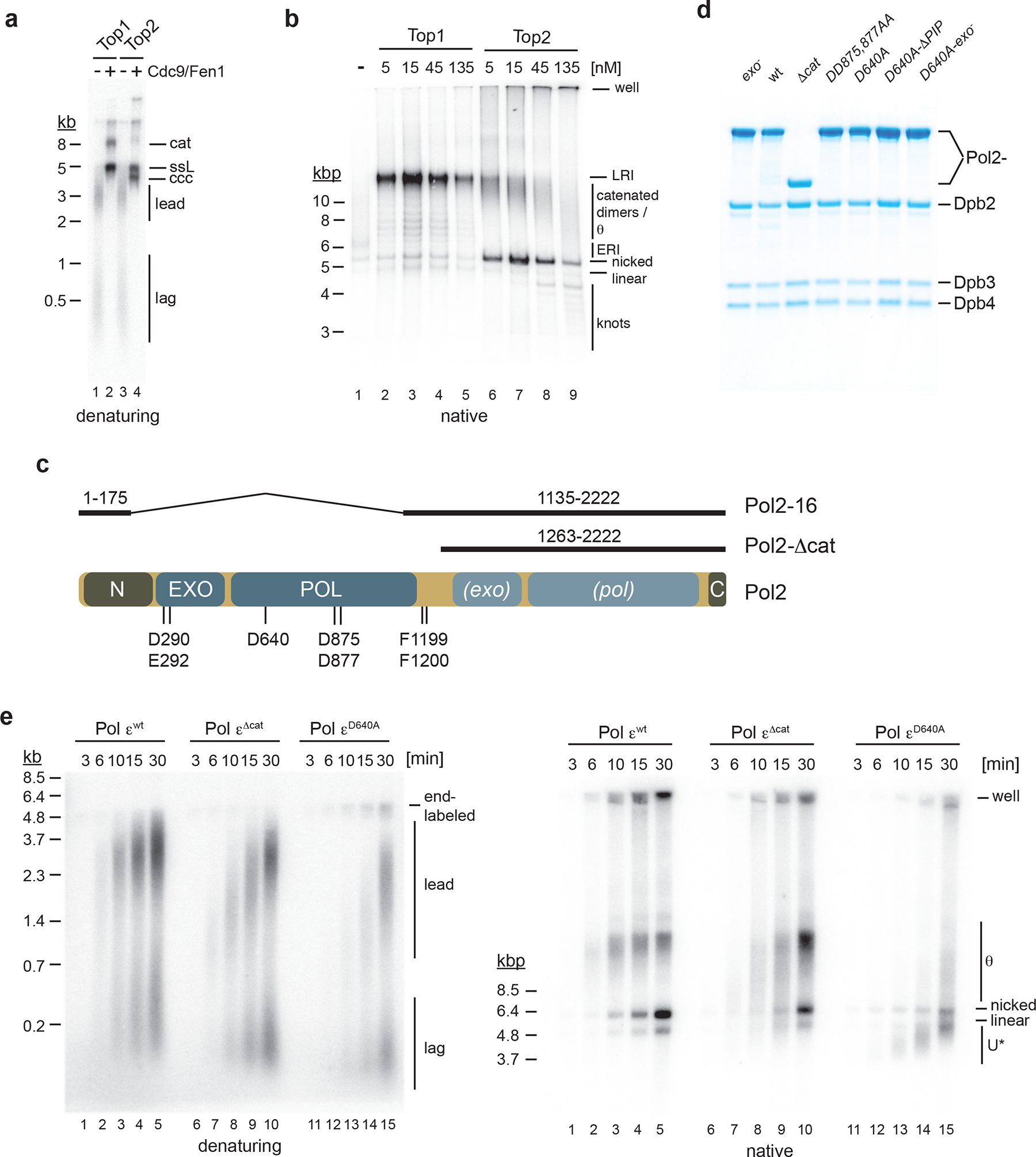 Figure 1: