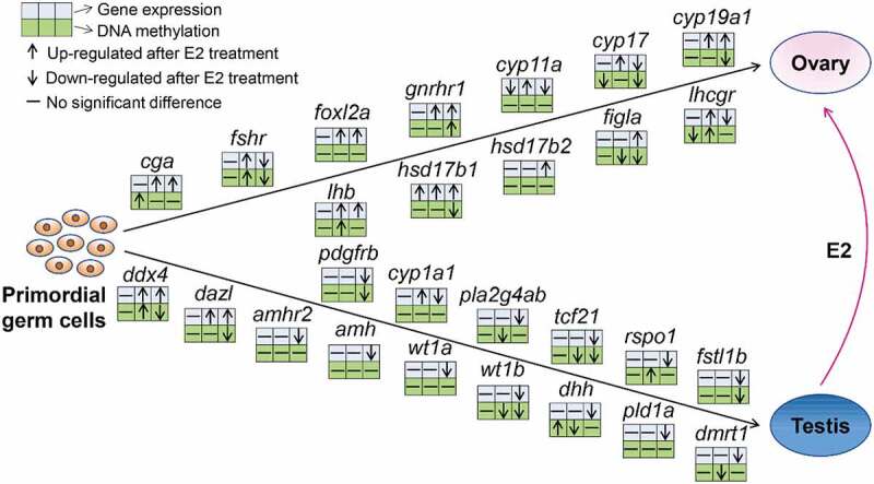 Figure 7.