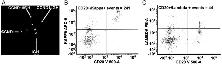 Figure 2