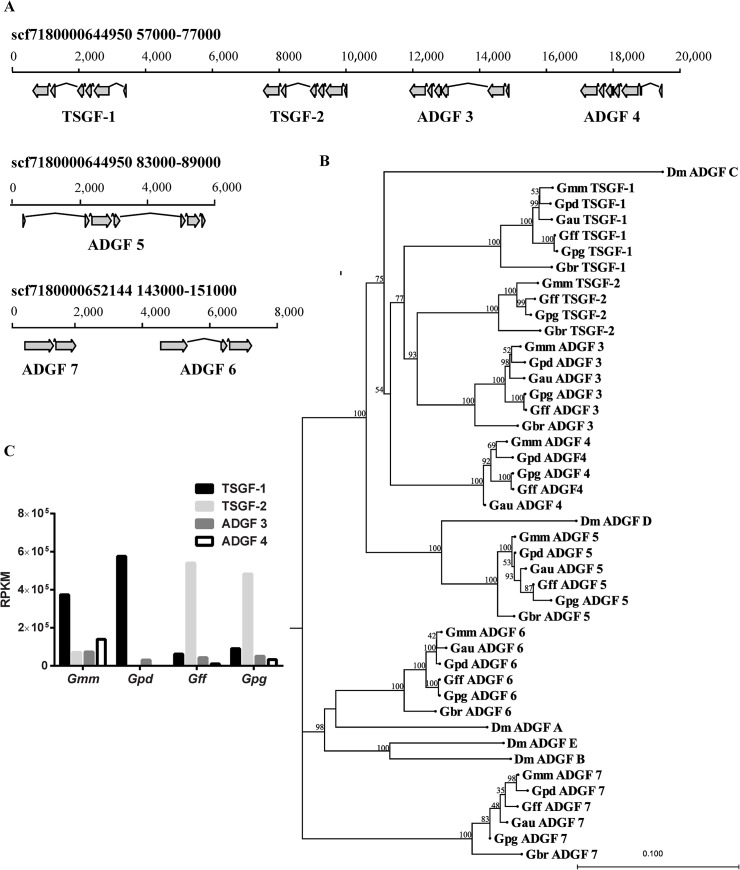 Fig 6