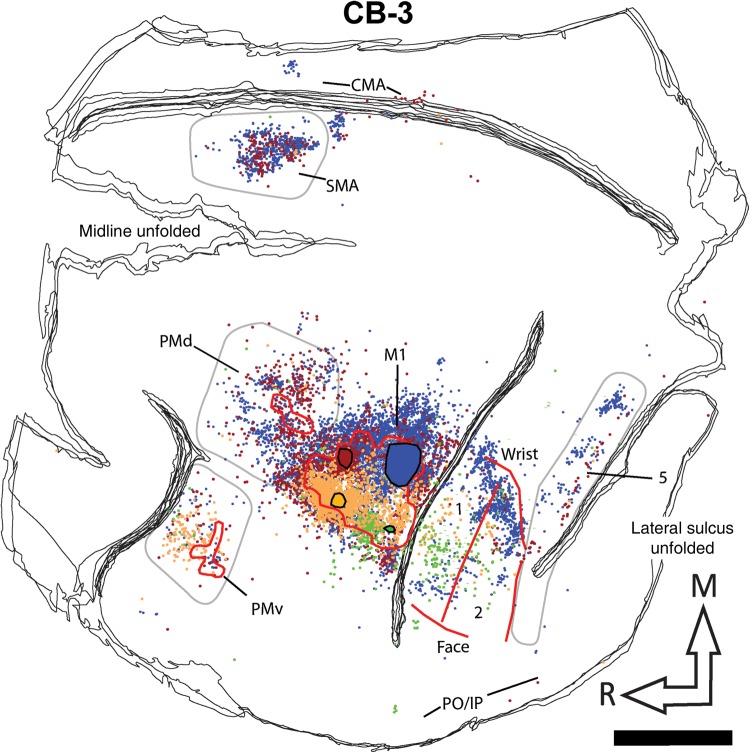 Figure 6.