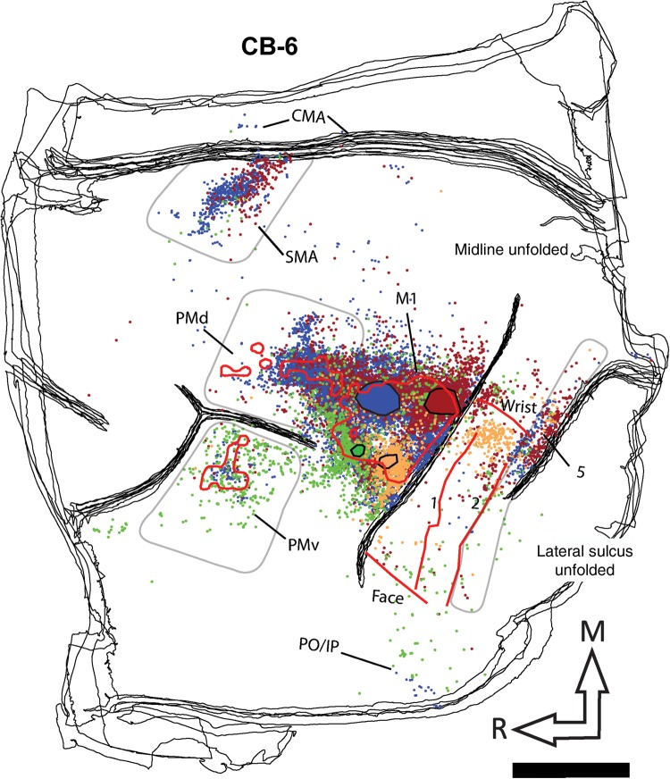 Figure 5.