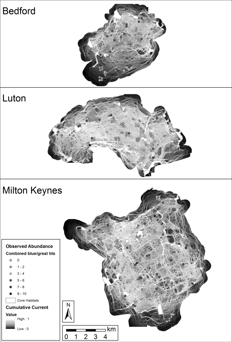 Fig. 3