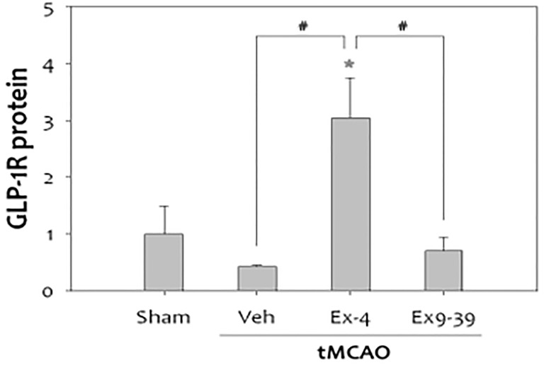 Figure 9