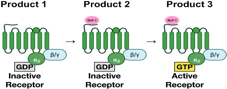 Figure 2