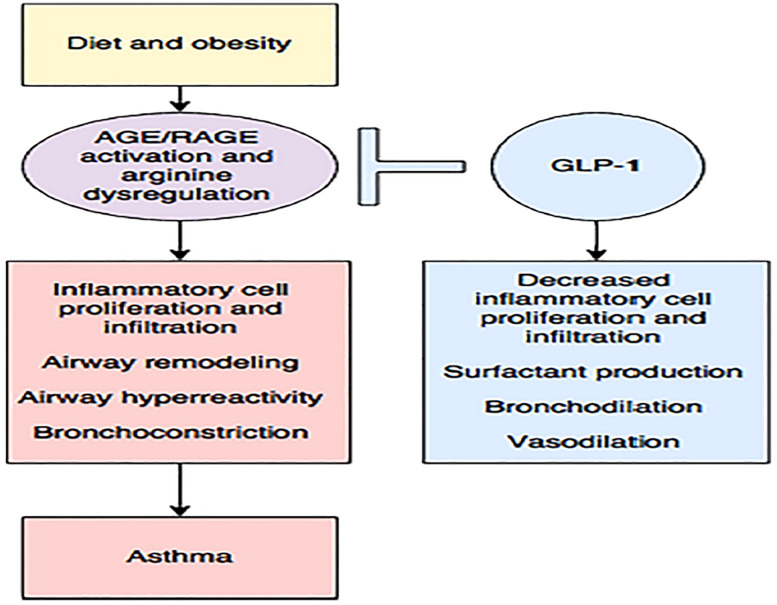 Figure 11