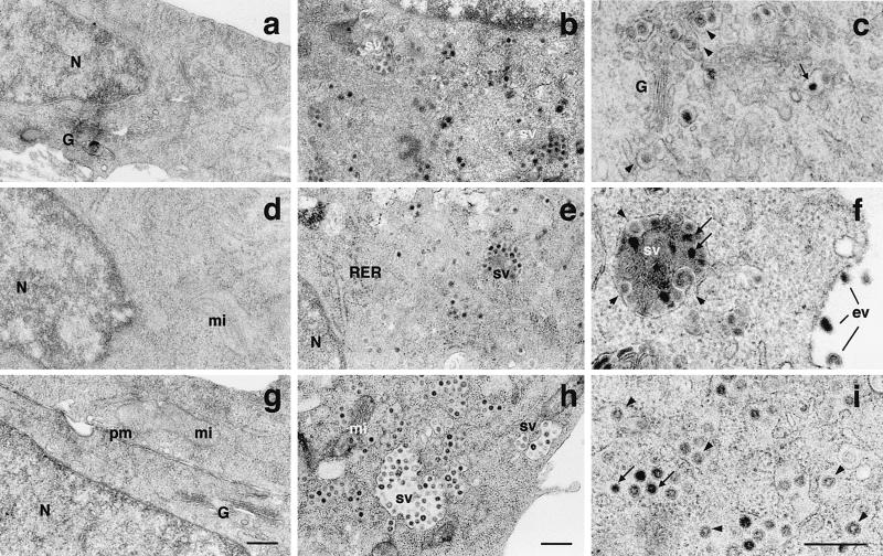 FIG. 8.