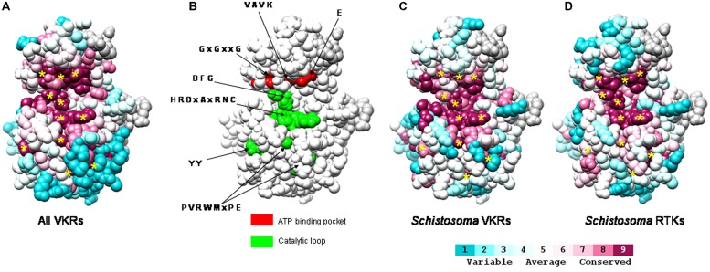 FIGURE 2