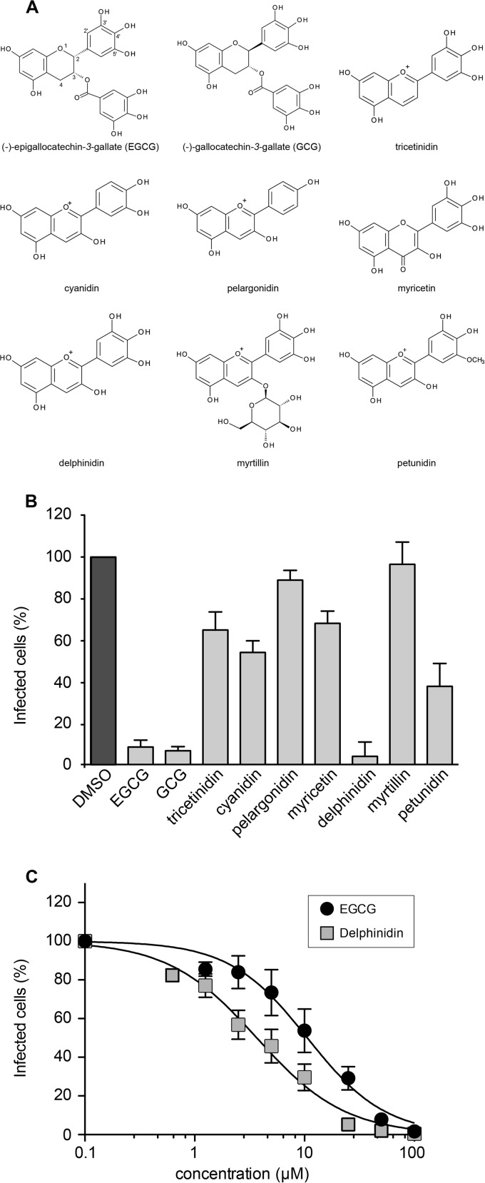 FIG 1