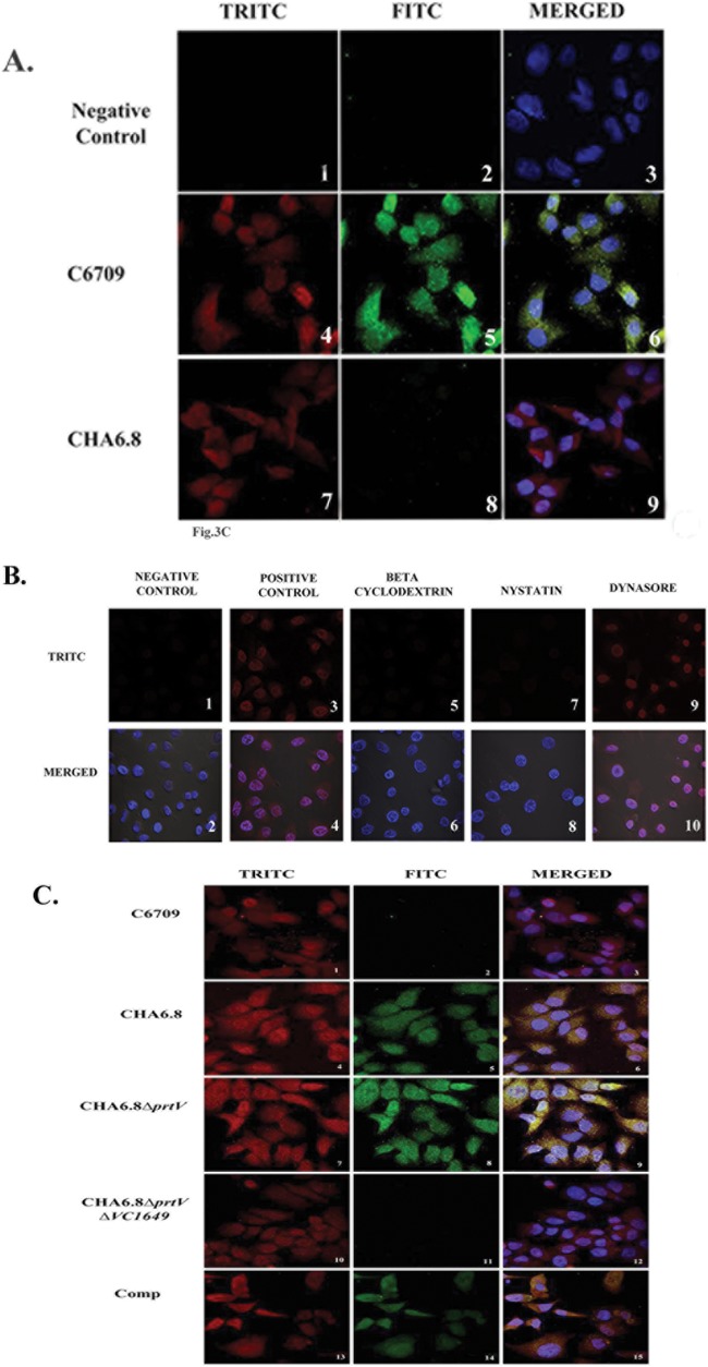 FIG 3