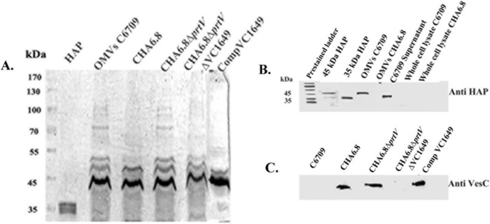 FIG 1