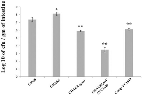 FIG 6