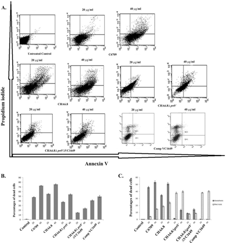 FIG 5