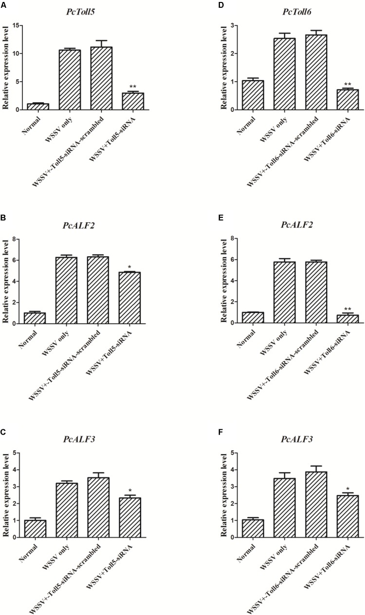 FIGURE 6