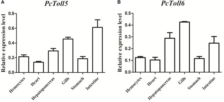 FIGURE 3