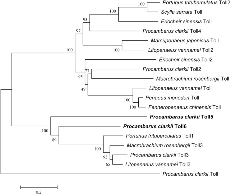 FIGURE 2