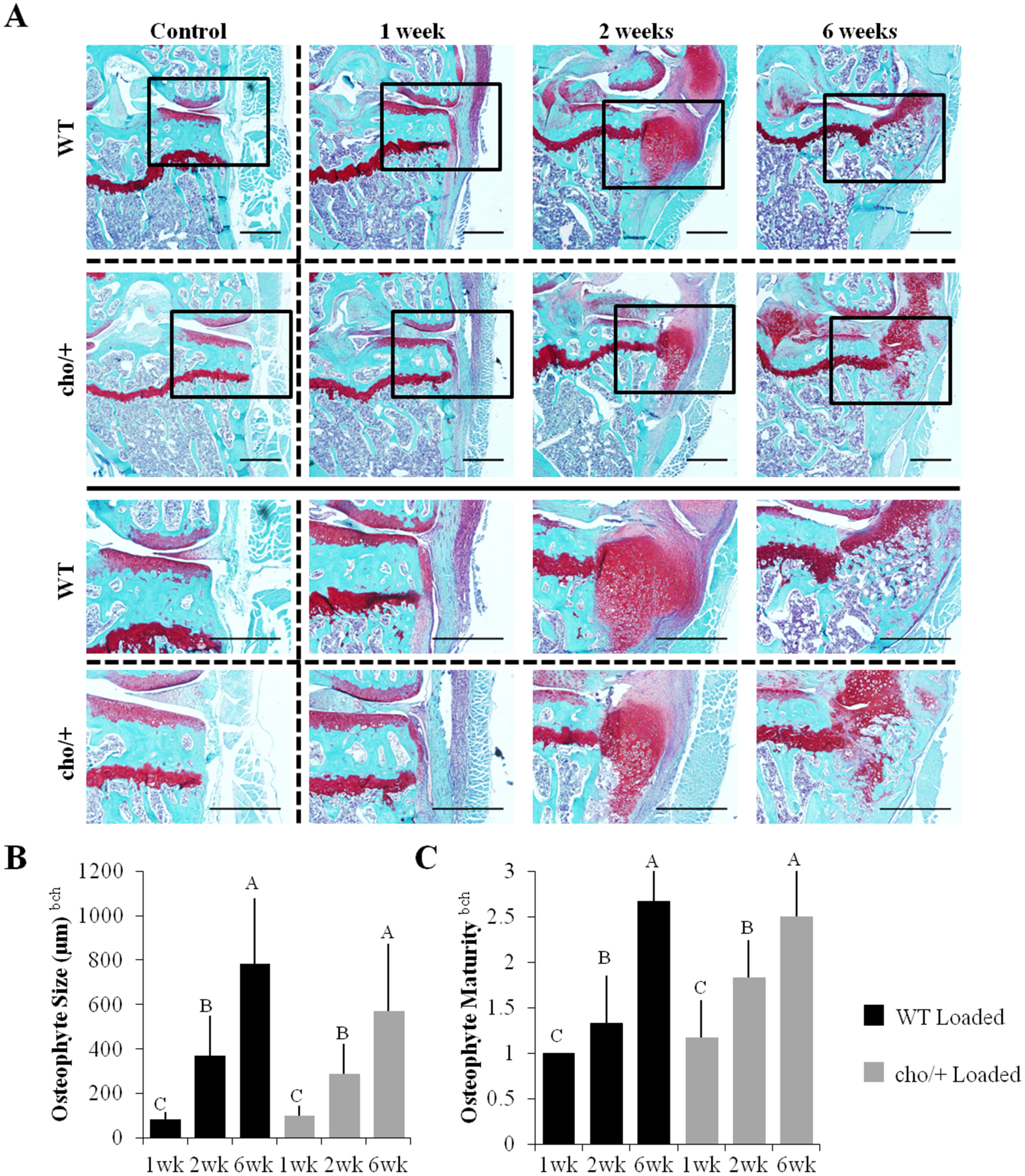 Figure 3.